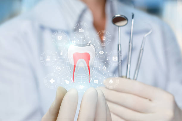 Best Preventive Dentistry  in Cheney, KS